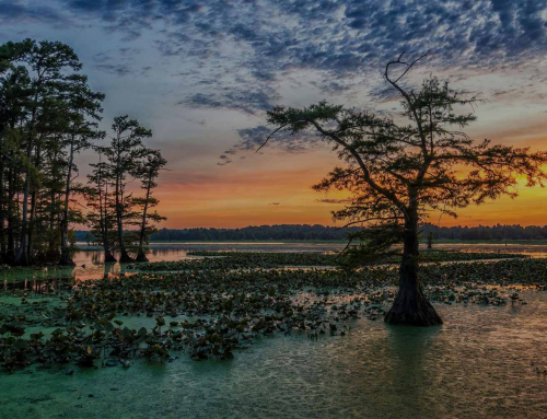 8 beautiful cathedrals explored