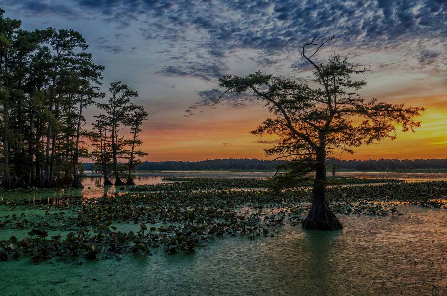 Photo of Sunset in Nature